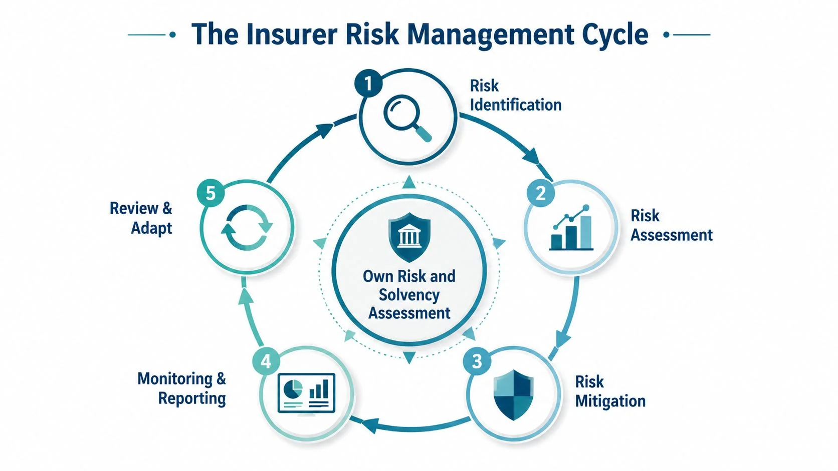 A circular diagram illustrating the five-step risk management cycle for insurance companies with a central solvency assessment.