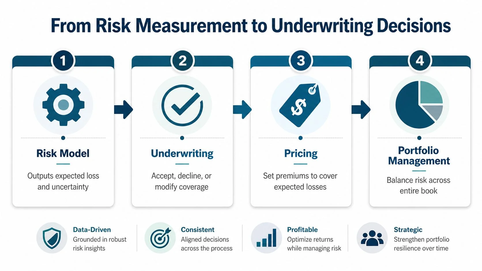 A flowchart showing the four-step insurance underwriting process from risk modeling and assessment to pricing and portfolio management.